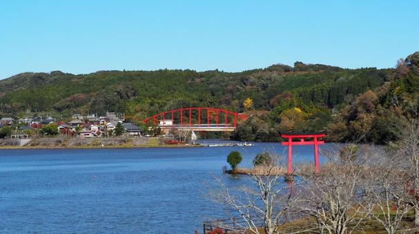 秋の亀山湖・湖面に浮かぶ鳥居（君津市） 秋,亀山湖,水天宮の写真素材