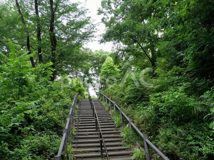 公園　階段 忠生公園,町田市,緑の写真素材