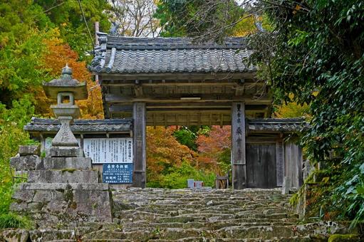 滋賀・近江八幡 桑實寺 山門(正面) 滋賀・近江八幡 桑實寺 山門(正面) 桑實寺,くわのみでら,山門の写真素材