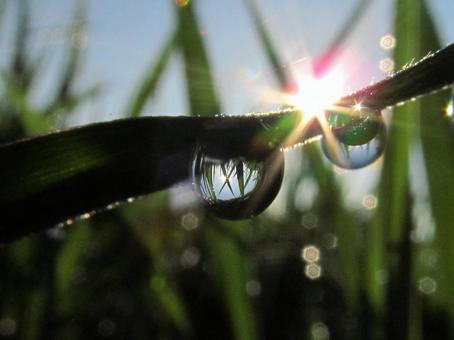 水滴と朝の光の風景 水滴と朝の光の風景の写真