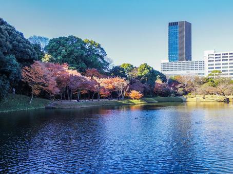 【東京都】文京区・小石川後楽園 【東京都】文京区・小石川後楽園 小石川後楽園,紅葉,水道橋の写真素材