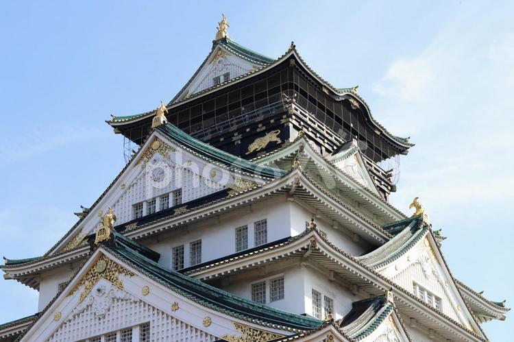 大阪城 大阪城,城,大阪の写真素材