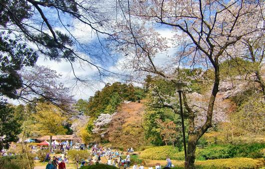 清水公園の風景-30 清水公園の風景-30の写真