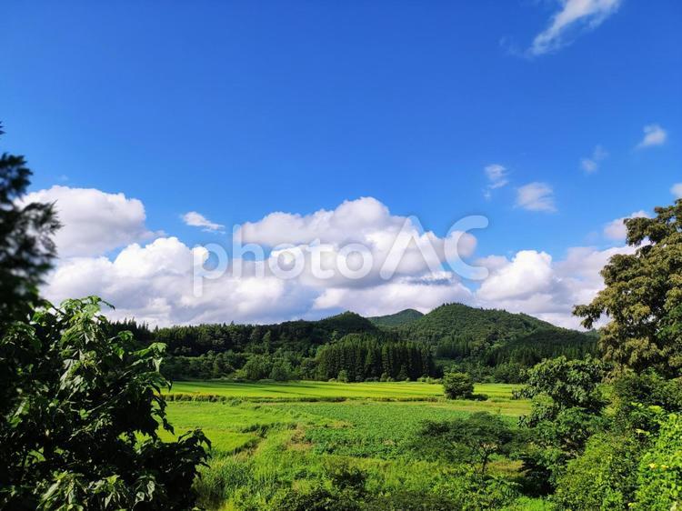 田舎の田園風景 田舎,田園,空の写真素材