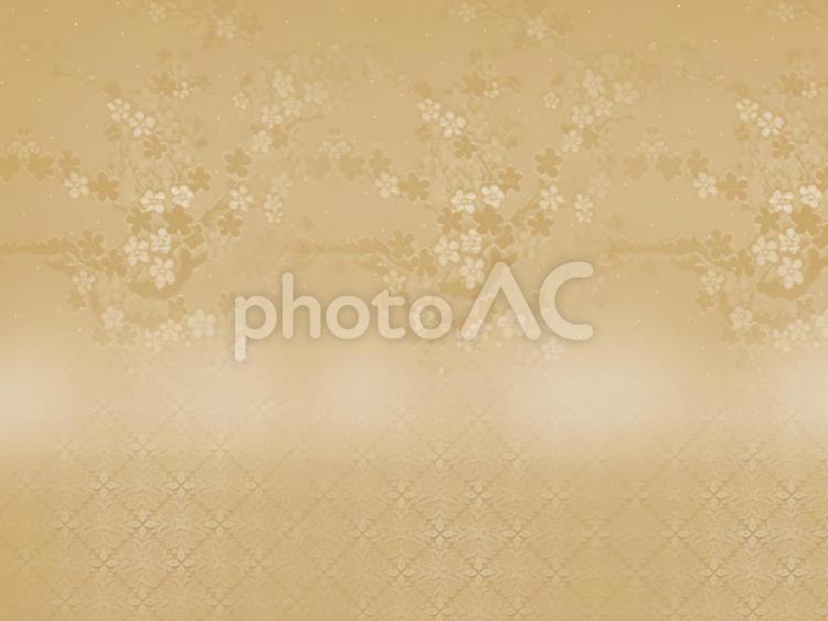 花とレースの画像　ベージュ系 花,レース,背景の写真素材