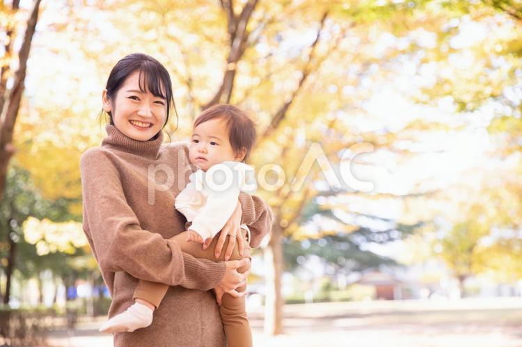 秋の公園で遊ぶ赤ちゃんとママ 赤ちゃん,ママ,横顔の写真素材