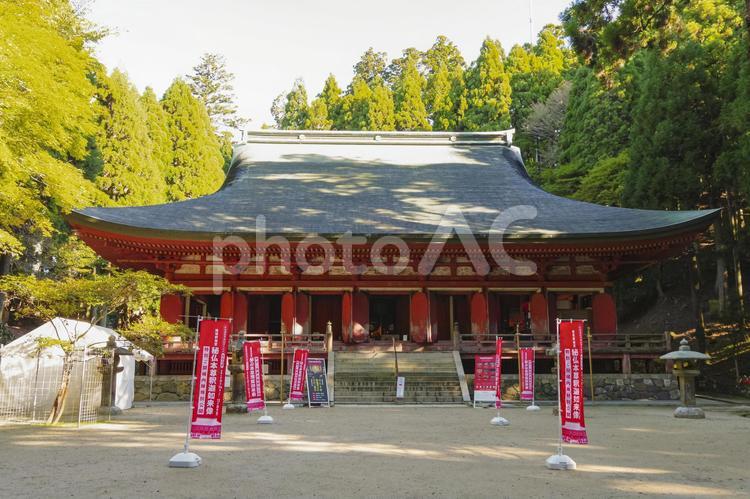 比叡山延暦寺西塔 釈迦堂の全景 比叡山,延暦寺,西塔の写真素材