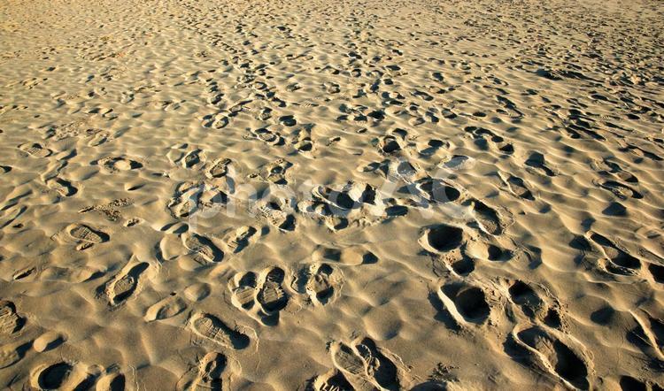 夏の足跡・砂浜 砂浜,ビーチ,足跡の写真素材