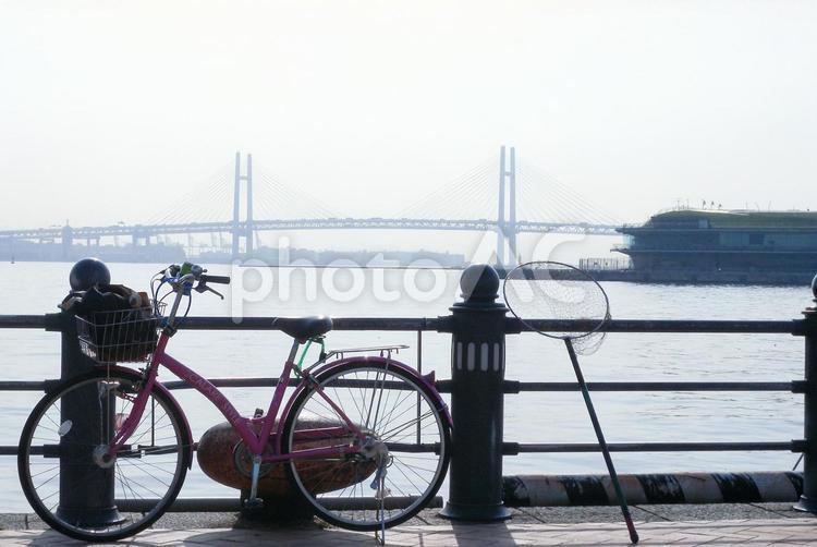 横浜街散歩 海,風景,景色の写真素材