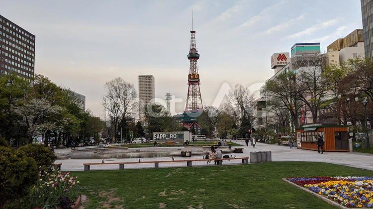 北海道札幌の大通公園とテレビ塔 北海道,札幌市,大通公園の写真素材