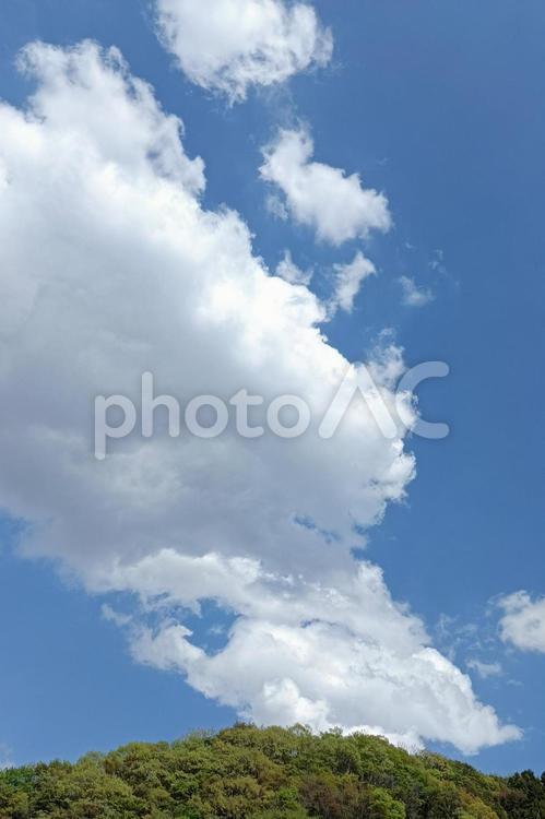 新緑に覆われた高尾山近辺の山の頂上と雲 背景,山,春の写真素材