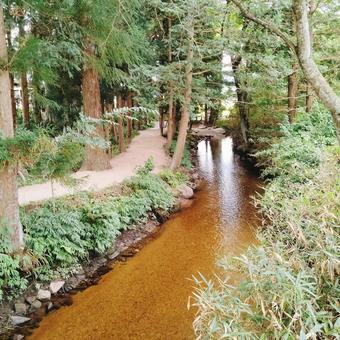 カッパ淵の風景 2025 カッパ淵の風景 2025の写真