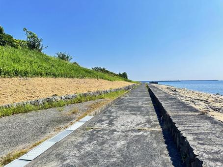 公園 夏 海岸沿い 公園 夏 海岸沿い 公園,夏の公園,風景の写真素材