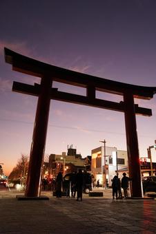 日の入りの鶴岡八幡宮、三の鳥居 鳥居,晴れ,秋の写真素材