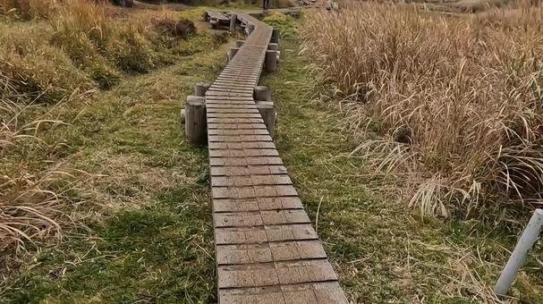 木道 木道 の写真