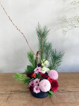 ピンクの生け花 ピンクの生け花 お正月,生け花,ピンポンギクの写真素材