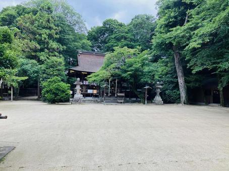 廣瀬大社 社殿 廣瀬大社 社殿の写真