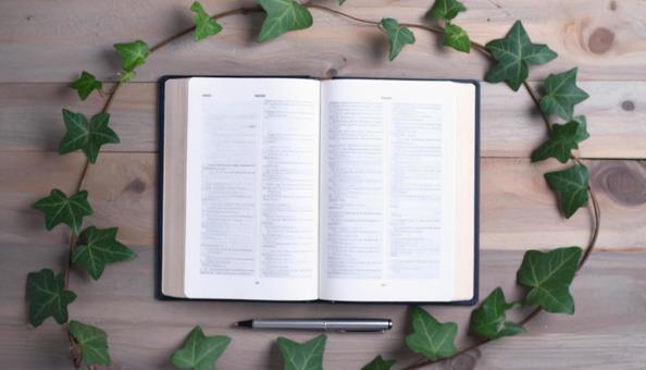 英語の勉強 英語の辞書 アイビー ペン 英語の勉強 英語の辞書 アイビー ペンの写真