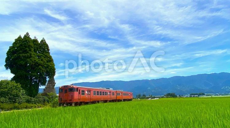 夏の田園風景と鉄道（富山・南砺市）：2 ローカル,鉄道,城端線の写真素材
