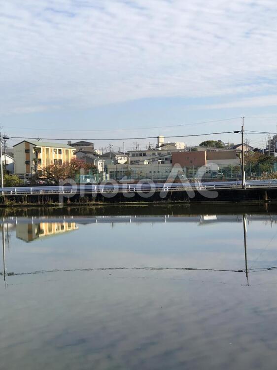 湖面に映る住宅街 水域,川,何人もありませんの写真素材