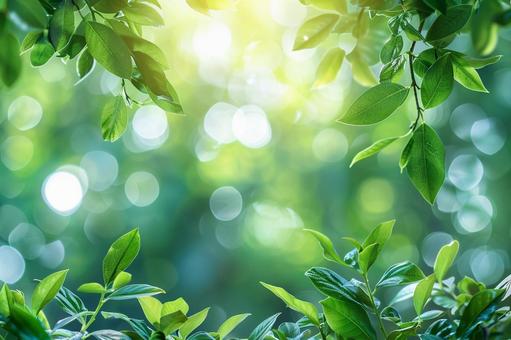 透き通る新緑と優しい玉ボケ背景の写真
