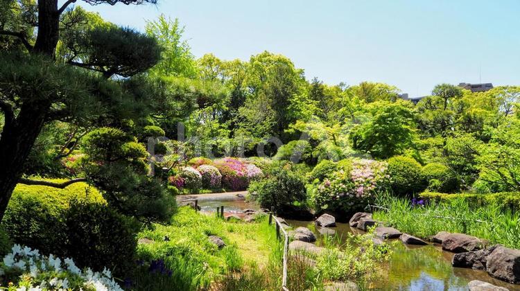 春の行船公園・ツツジ＆新緑の庭園・東京都 春,ツツジ,花の写真素材