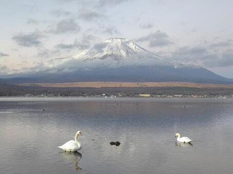 雪の富士山と山中湖 富士山,山中湖,富士五湖の写真素材