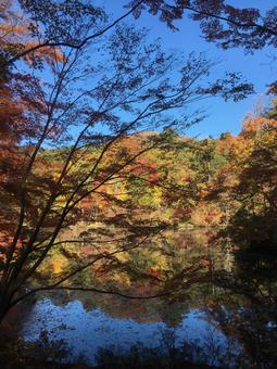 紅葉の山と池 紅葉の山と池 秋,山,池の写真素材
