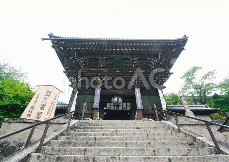 長谷寺　奈良県 奈良県,長谷寺,桜井市の写真素材