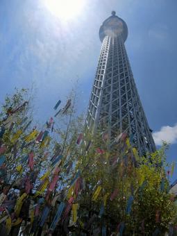 スカイツリー スカイツリー スカイツリー,シンボル,気持ちいいの写真素材