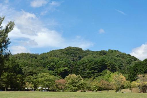 夏の公園の風景 夏の公園の風景の写真