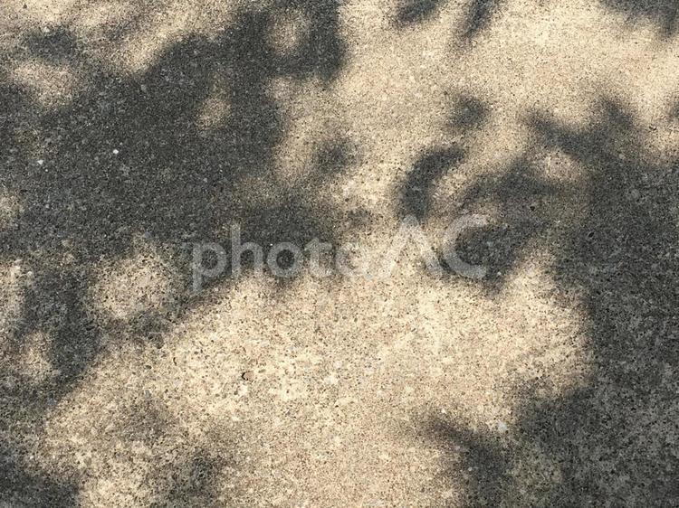 木漏れ日 アスファルト,陰,影の写真素材