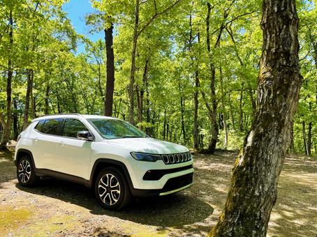 車 suv,森林,アウトドアの写真素材