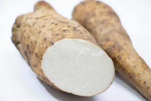 自然薯 自然薯,芋類,根菜の写真素材