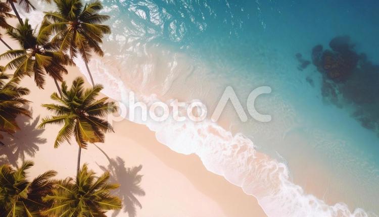 真上から見た南国リゾート地の海岸 海,ビーチ,砂浜の写真素材