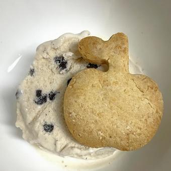おやつ アイスクリームとクッキー おやつ アイスクリームとクッキーの写真