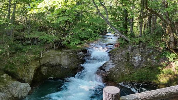 伏伸の滝 伏伸の滝 滝,伏伸の滝,ふのしのたきの写真素材