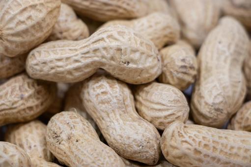 落花生 落花生,ピーナッツ,おつまみの写真素材