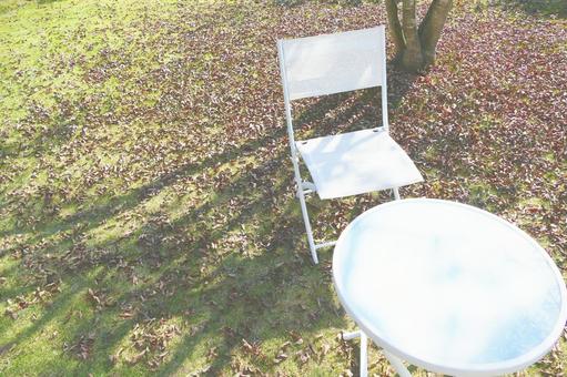 落ち葉の庭 秋,庭,落ち葉の写真素材