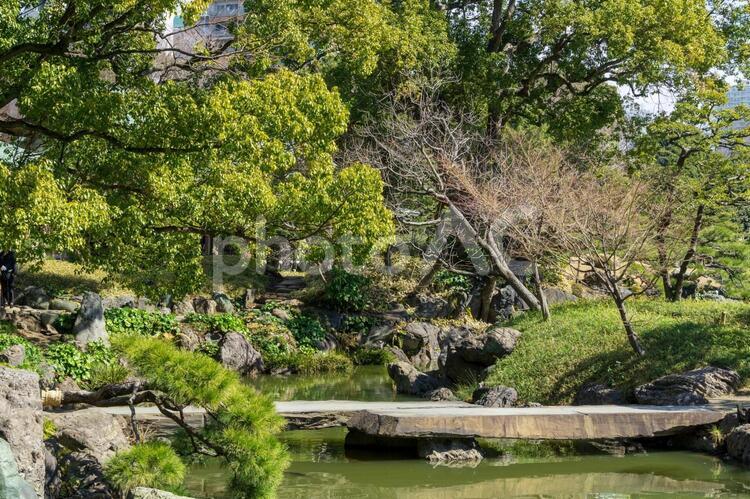 清澄庭園 清澄庭園,清澄白河,日本庭園の写真素材