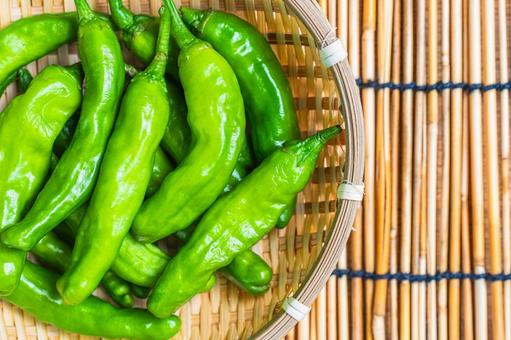 Fresh shishito peppers in a bamboo basket, JPG