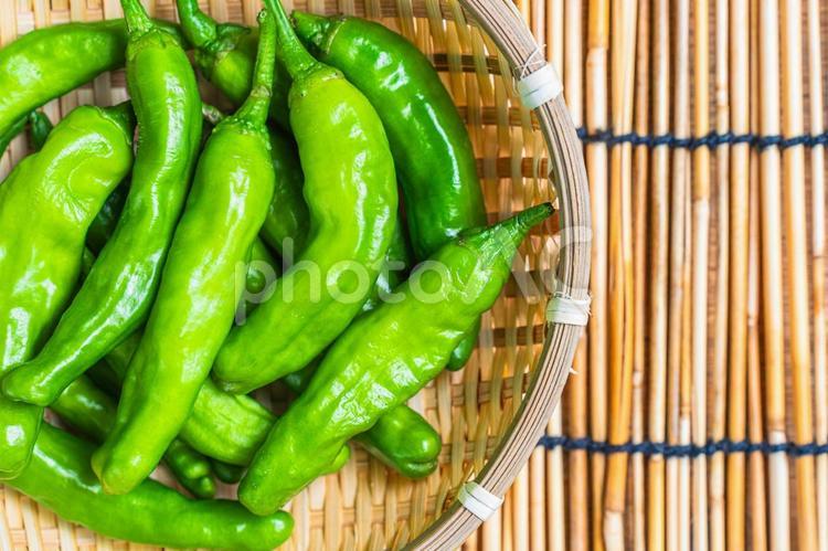 竹ざるに入った新鮮なししとう ししとう,野菜,獅子唐辛子の写真素材