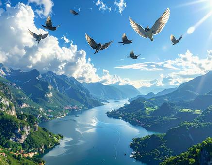 空飛ぶ猫の写真