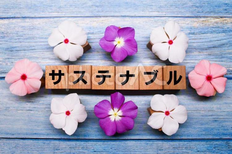 地球に優しい6文字の言葉【サステナブル】 素材,イメージ,イメージ素材の写真素材