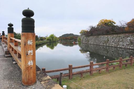 姫路城 桜門橋 姫路城 桜門橋 姫路城,桜門橋,石垣の写真素材