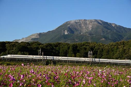 伊吹山と秋桜2 伊吹山と秋桜2 伊吹山,山,秋桜の写真素材