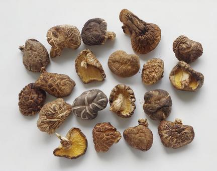 干し椎茸 乾物 笊 どんこ椎茸 俯瞰 干し椎茸 乾物 笊 どんこ椎茸 俯瞰 椎茸,乾物,乾燥の写真素材
