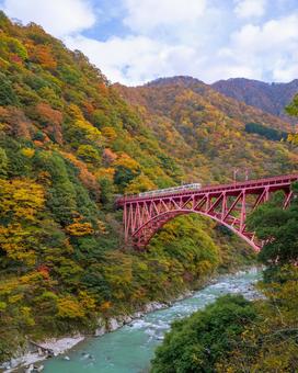 黒部峡谷・トロッコ電車（富山県黒部市） 黒部峡谷,トロッコ,宇奈月温泉の写真素材