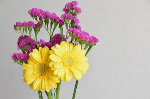 ガーベラとスターチス ガーベラ,黄色,スターチスの写真素材