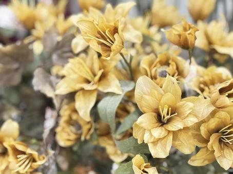 美しい花の背景、コピースペース 花,コピースペース,美しいの写真素材